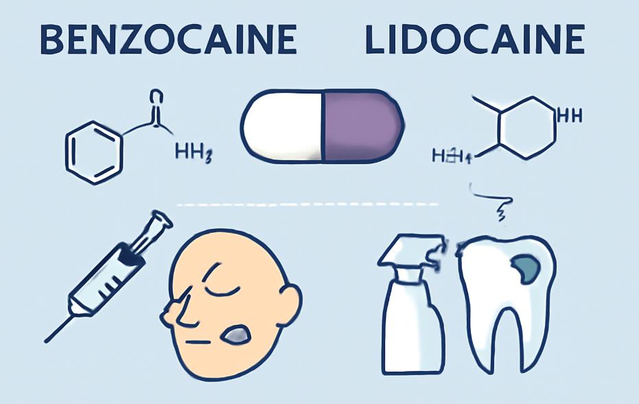 What category does Benzocaine belong to? the difference between Benzocaine and Lidocaine?